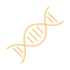dna_v2