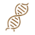 peptide_ico